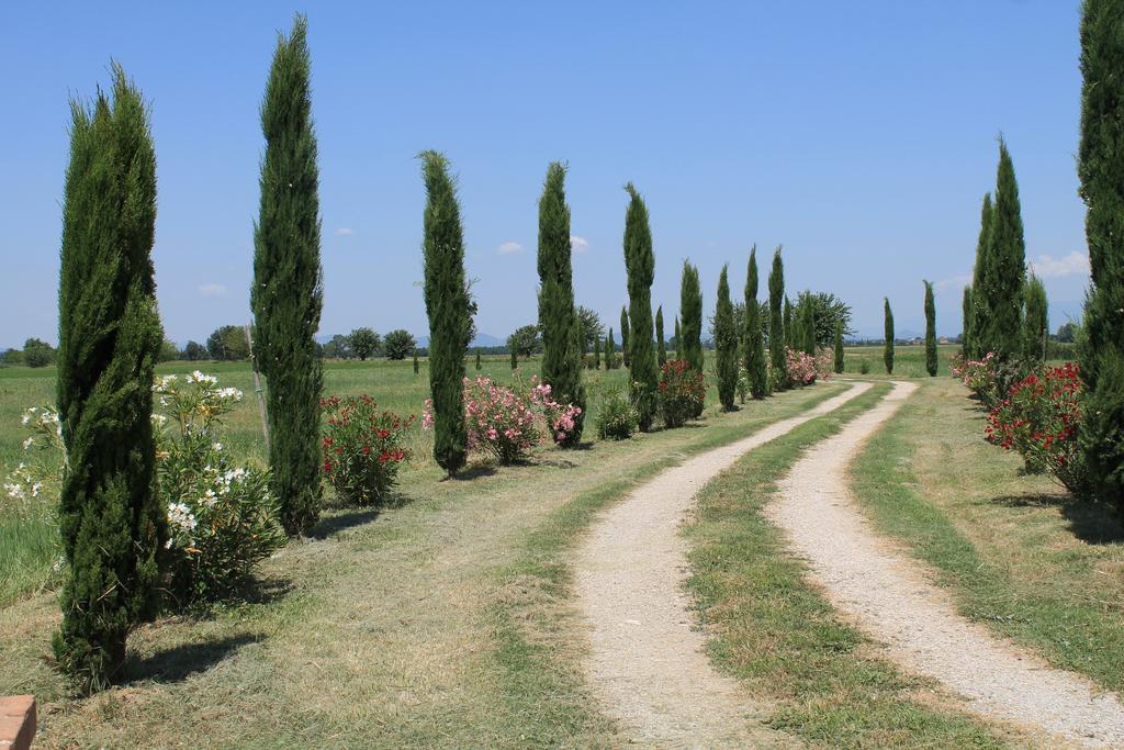 Il Grifone A Cortona Residence Екстериор снимка