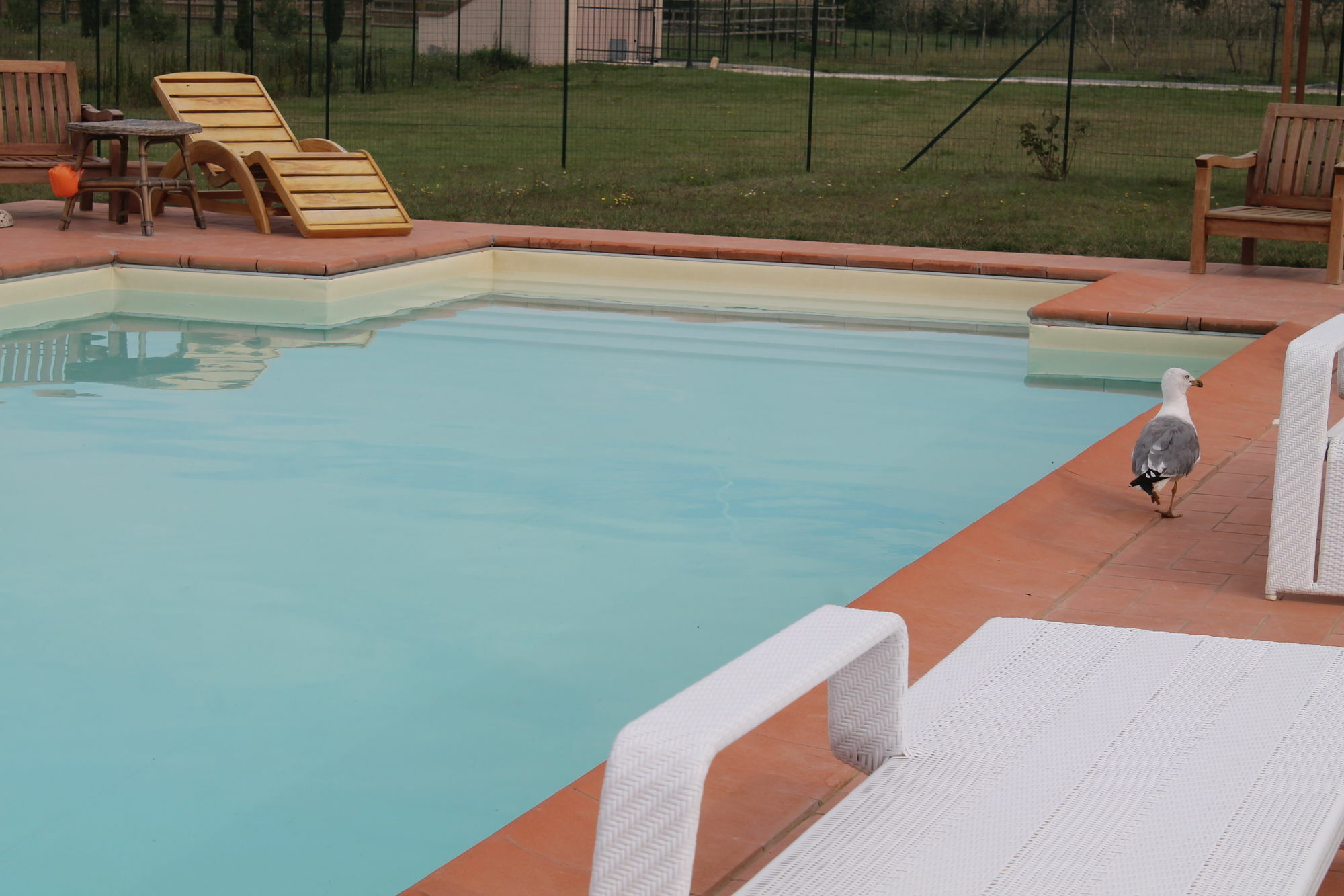 Il Grifone A Cortona Residence Екстериор снимка